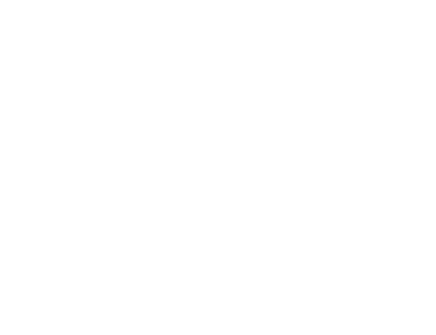 Polski Instytut Spalania